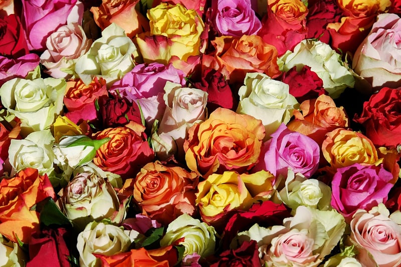 Floral Designs